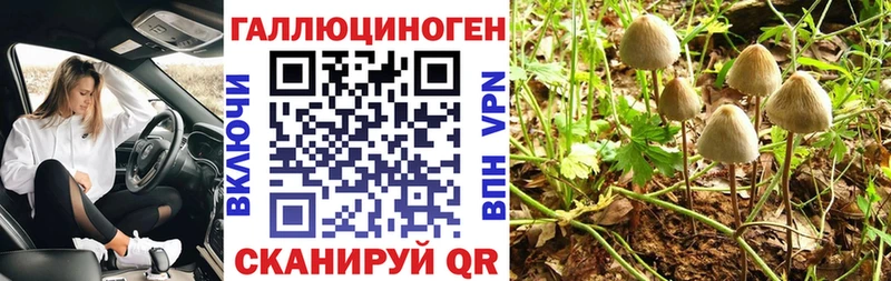 Галлюциногенные грибы GOLDEN TEACHER Армавир